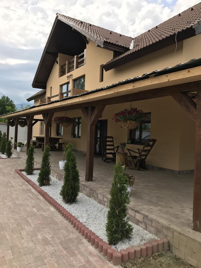Vila Smiley Avrig Exteriör bild