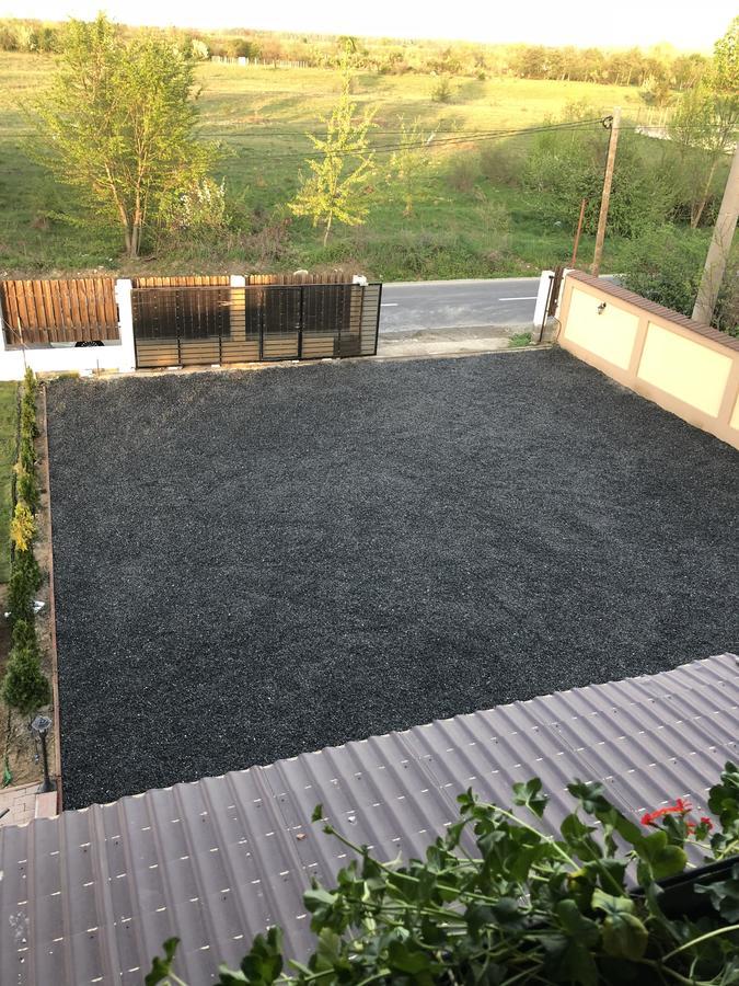Vila Smiley Avrig Exteriör bild